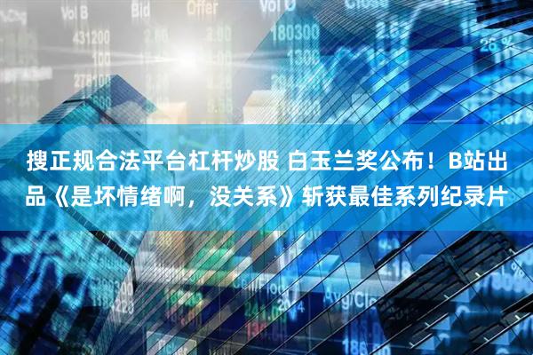 搜正规合法平台杠杆炒股 白玉兰奖公布！B站出品《是坏情绪啊，没关系》斩获最佳系列纪录片