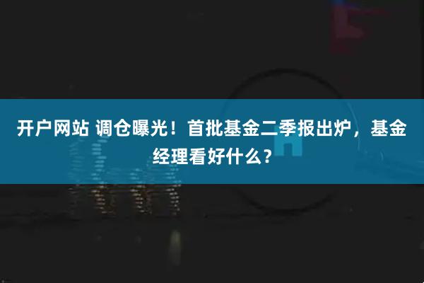 开户网站 调仓曝光！首批基金二季报出炉，基金经理看好什么？