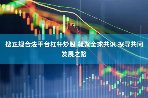 搜正规合法平台杠杆炒股 凝聚全球共识 探寻共同发展之路