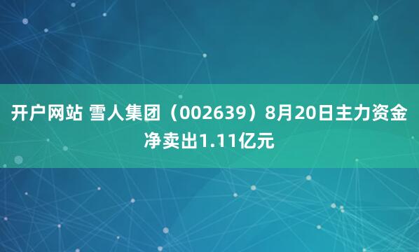 开户网站 雪人集团（002639）8月20日主力资金净卖出1.11亿元
