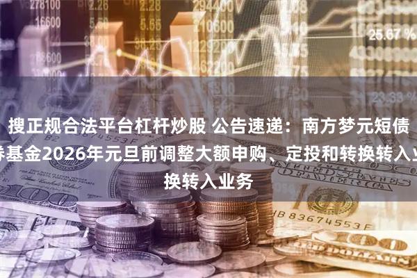 搜正规合法平台杠杆炒股 公告速递：南方梦元短债债券基金2026年元旦前调整大额申购、定投和转换转入业务