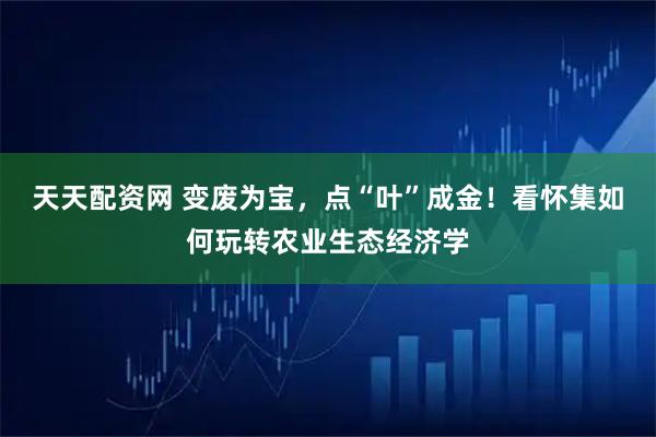 天天配资网 变废为宝，点“叶”成金！看怀集如何玩转农业生态经济学